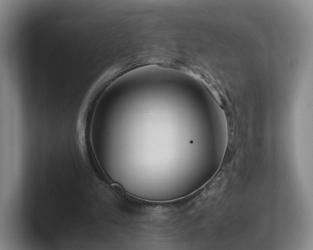 X0000101960197200807251201