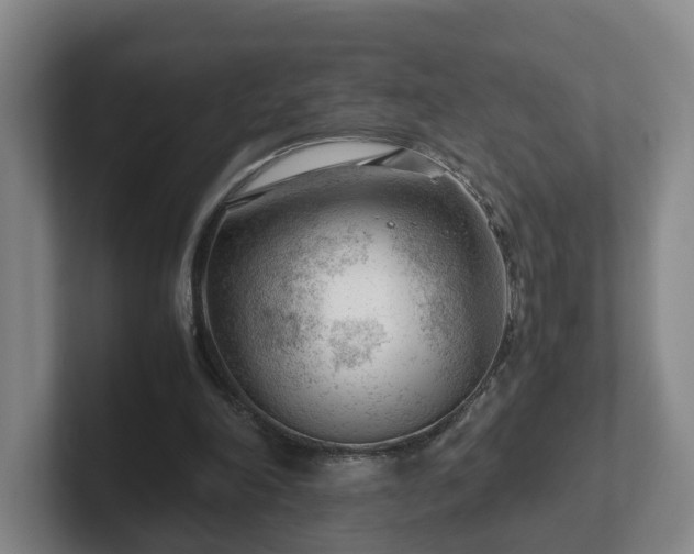 X0000101960198200807251201