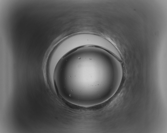 X0000101960199200807251201