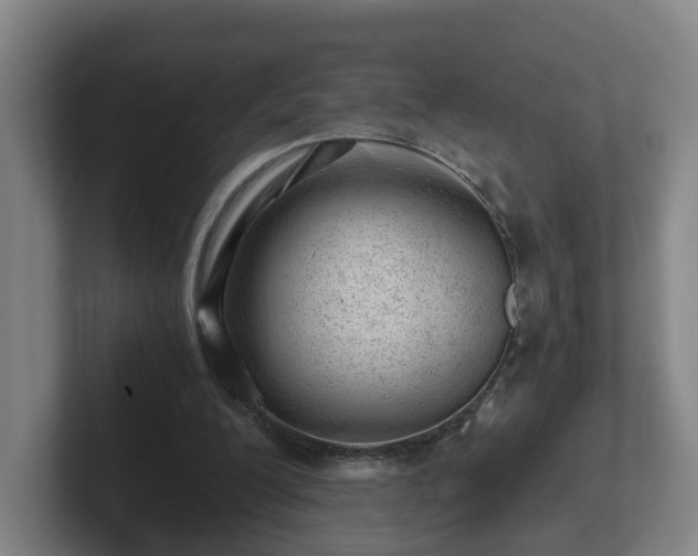 X0000101960200200807251201