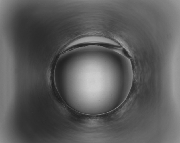 X0000101960201200807251201