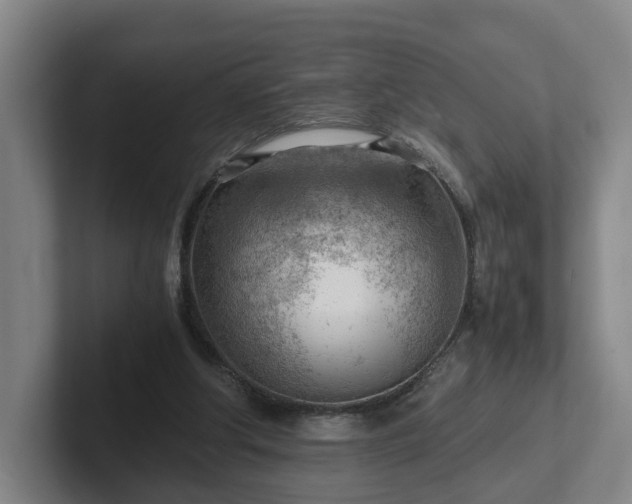 X0000101960202200807251201