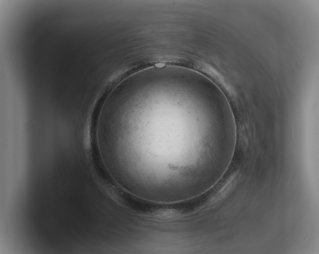 X0000101960203200807251201