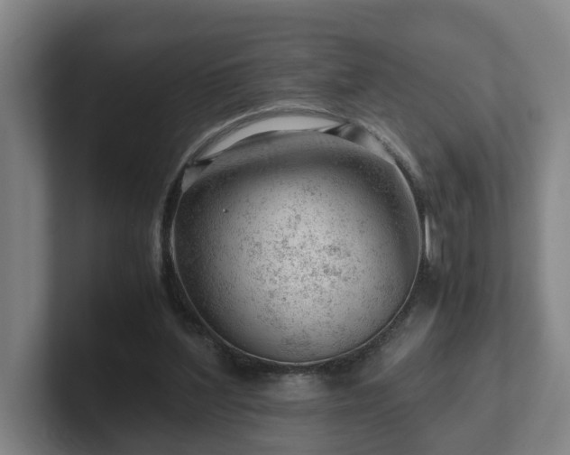 X0000101960204200807251201