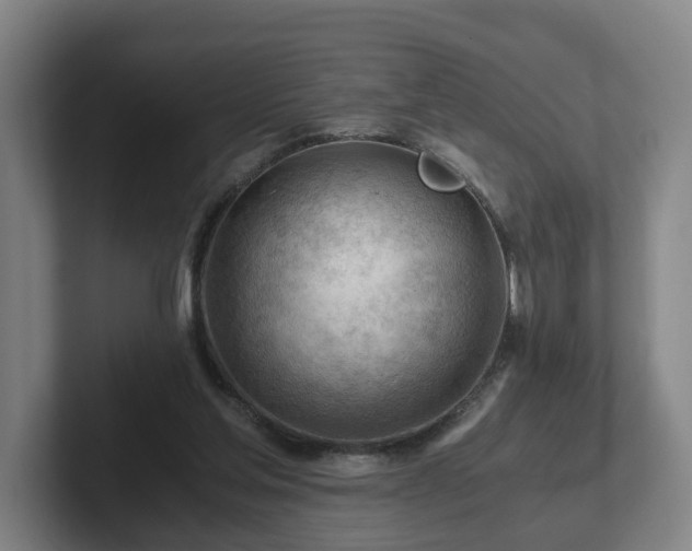 X0000101960205200807251201