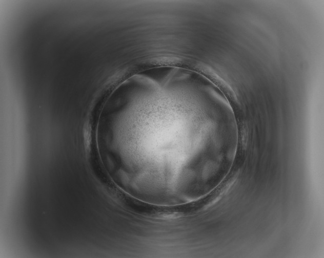 X0000101960206200807251201