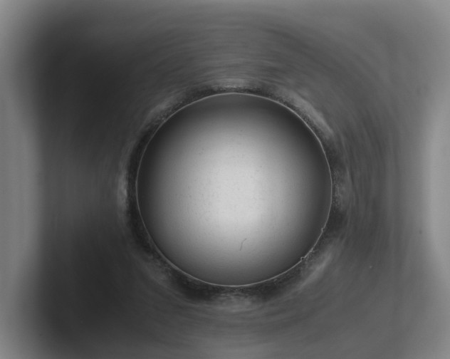 X0000101960207200807251201