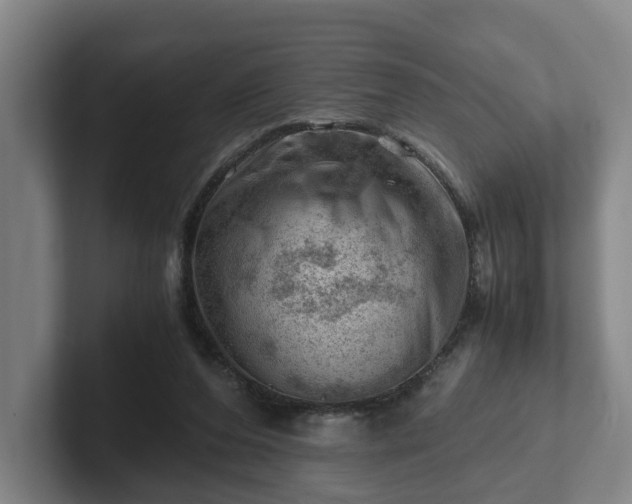 X0000101960208200807251201