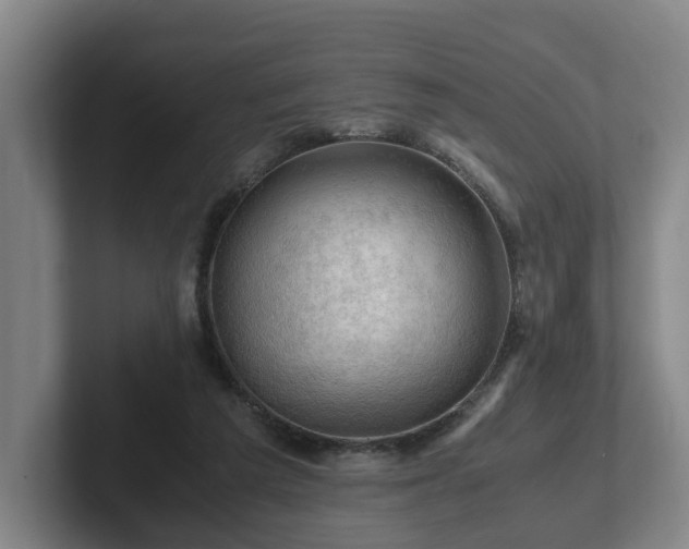 X0000101960209200807251201