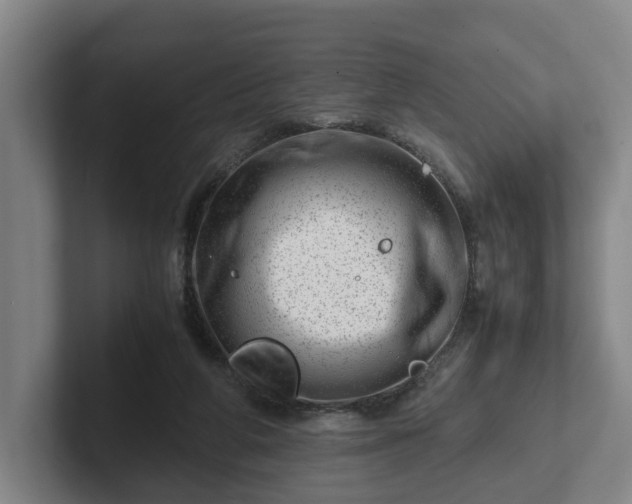 X0000101960210200807251201