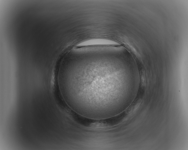 X0000101960211200807251201