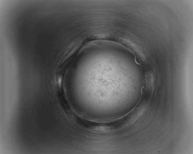 X0000101960212200807251201