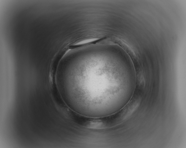 X0000101960214200807251201