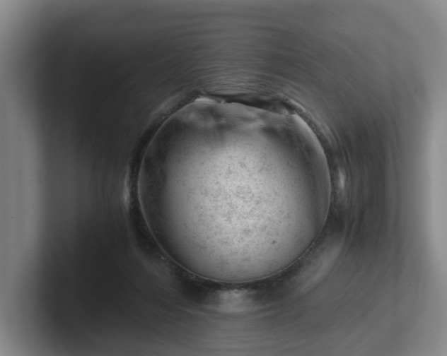 X0000101960216200807251201