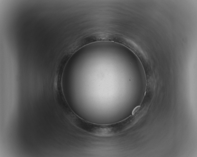 X0000101960217200807251201