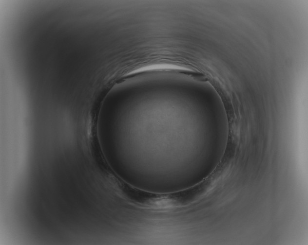 X0000101960219200807251201