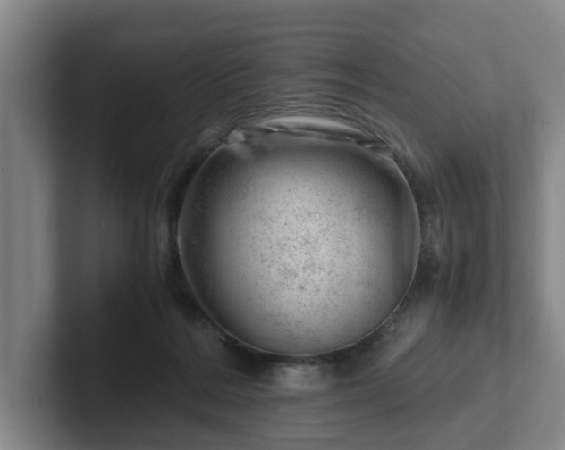 X0000101960220200807251201