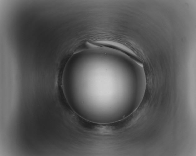 X0000101960221200807251201