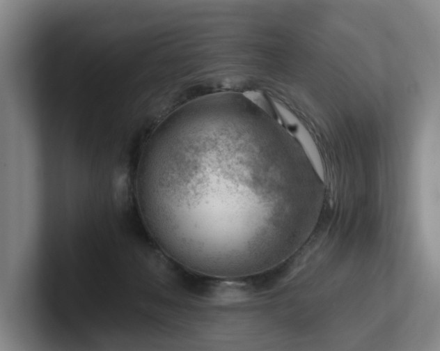 X0000101960222200807251201