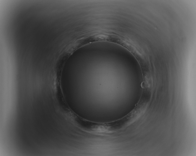 X0000101960223200807251201