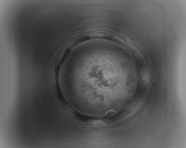 X0000101960224200807251201