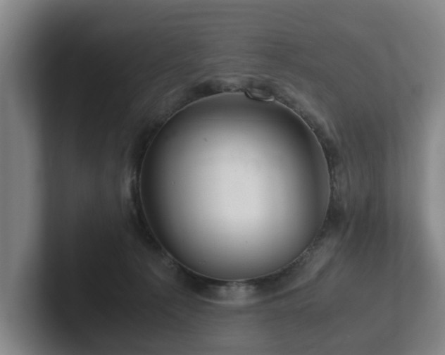 X0000101960225200807251201