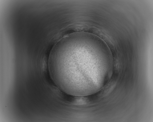 X0000101960226200807251201