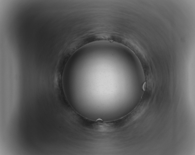 X0000101960229200807251201