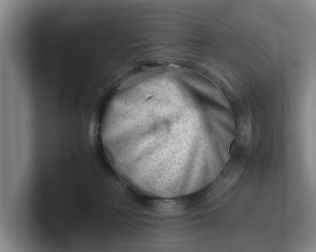 X0000101960230200807251201