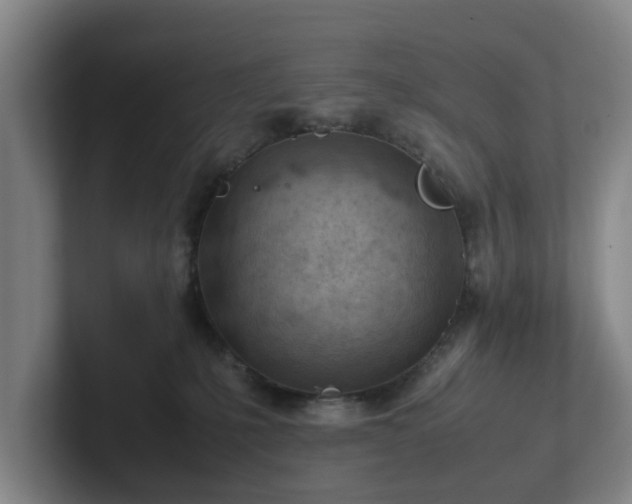 X0000101960231200807251201