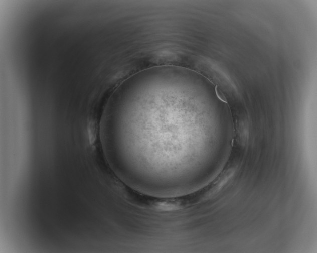 X0000101960232200807251201