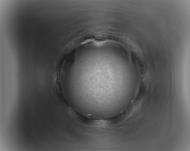 X0000101960233200807251201