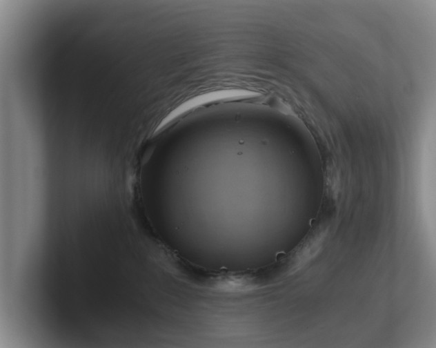 X0000101960235200807251201