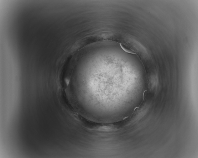 X0000101960236200807251201