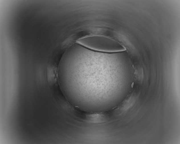 X0000101960237200807251201