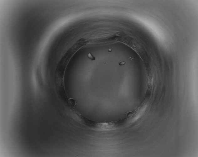 X0000101960239200807251201