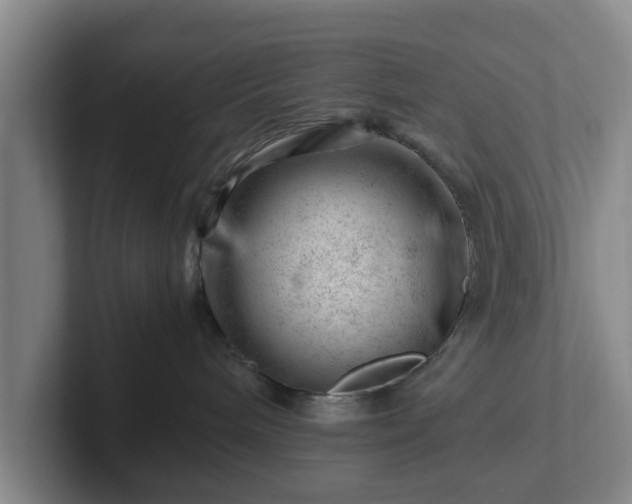 X0000101960240200807251201