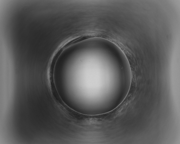 X0000101960244200807251200