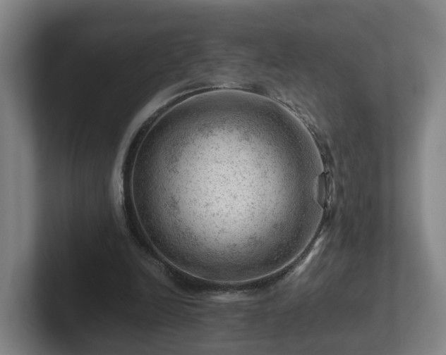 X0000101960246200807251200