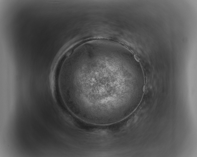 X0000101960247200807251200