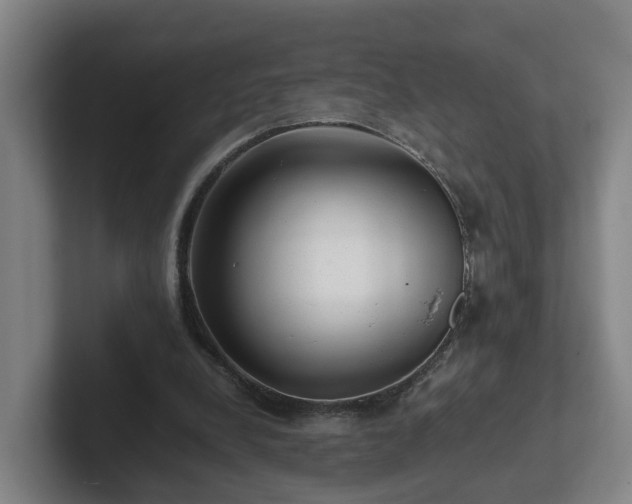 X0000101960248200807251200