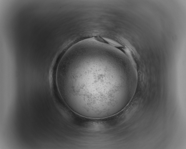 X0000101960250200807251200