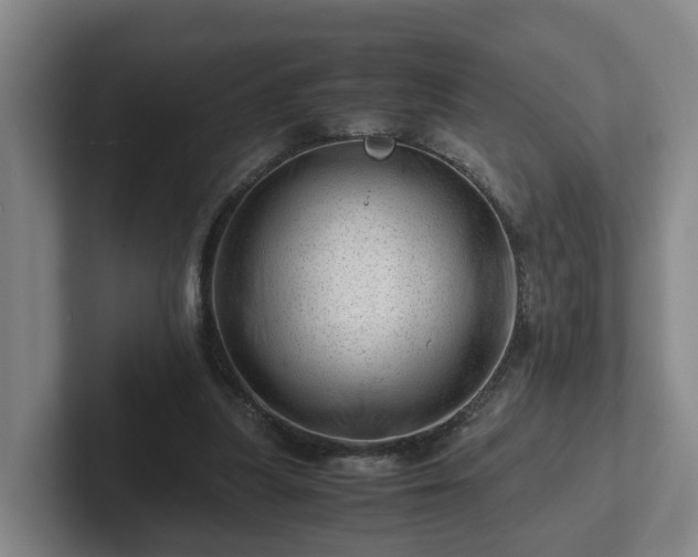 X0000101960251200807251200