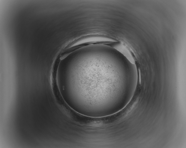 X0000101960252200807251200