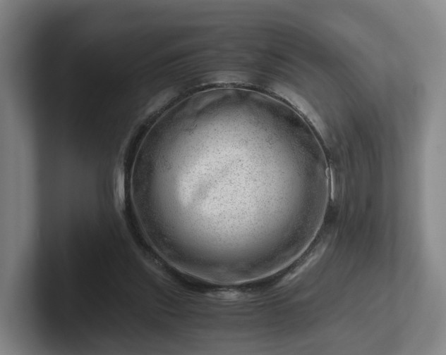 X0000101960253200807251200