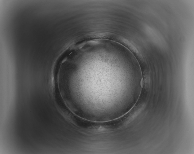 X0000101960254200807251200