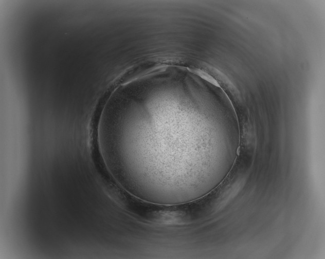 X0000101960255200807251200