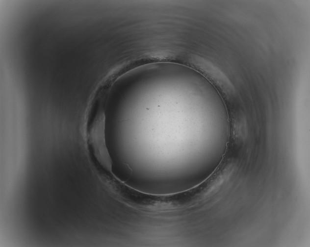 X0000101960256200807251200