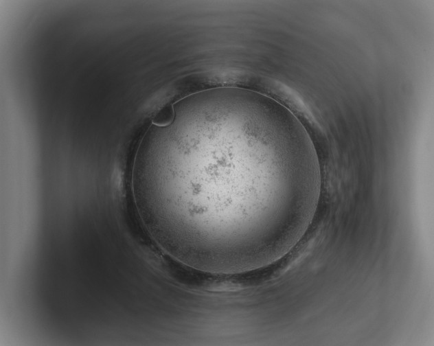 X0000101960258200807251200