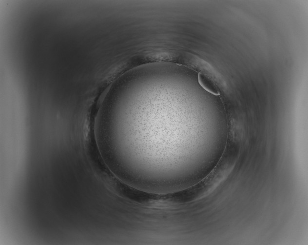 X0000101960259200807251200